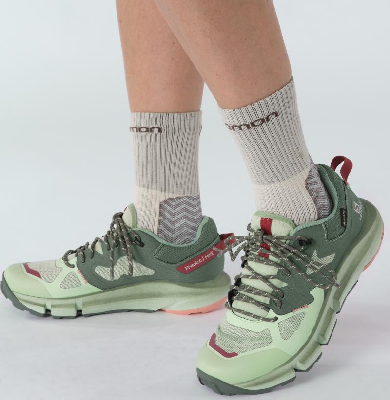 Predict Hike GTX - Womens - Image 8