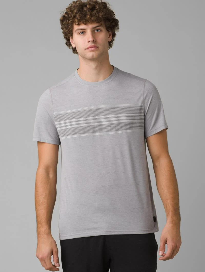 Prospect Heights Graphic SS - Mens - Image 5