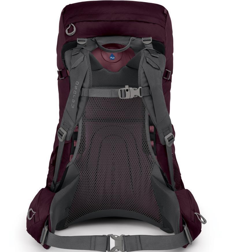 Renn 50 - Womens - Image 4