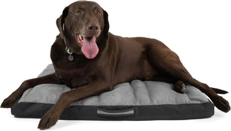Restcycle Bed - Image 5
