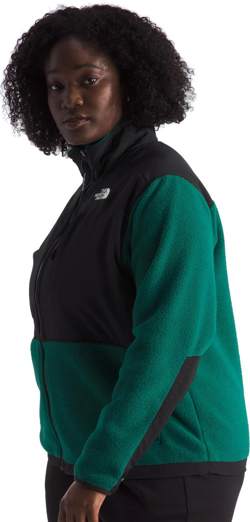 Retro Denali Jacket, Plus - Womens - Image 7