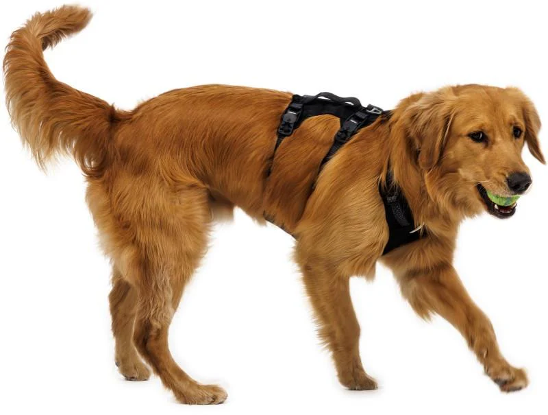 Ridgeline Harness - Image 8