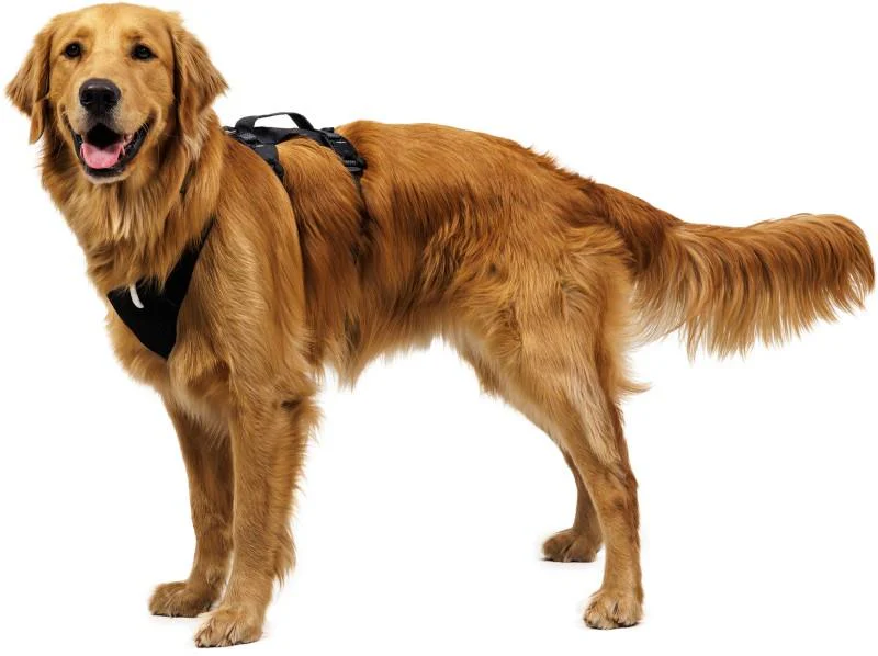 Ridgeline Harness - Image 9