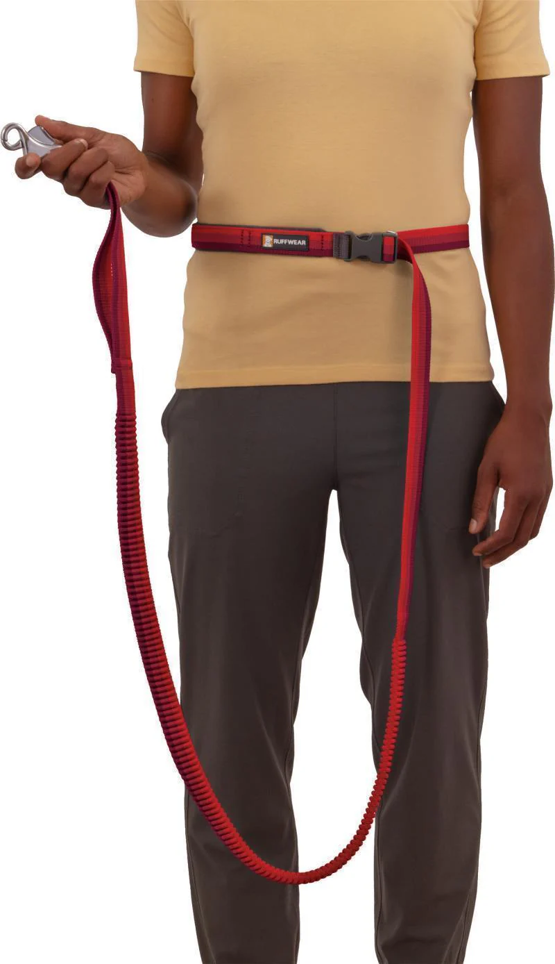 Roamer Leash - 11ft - Image 6