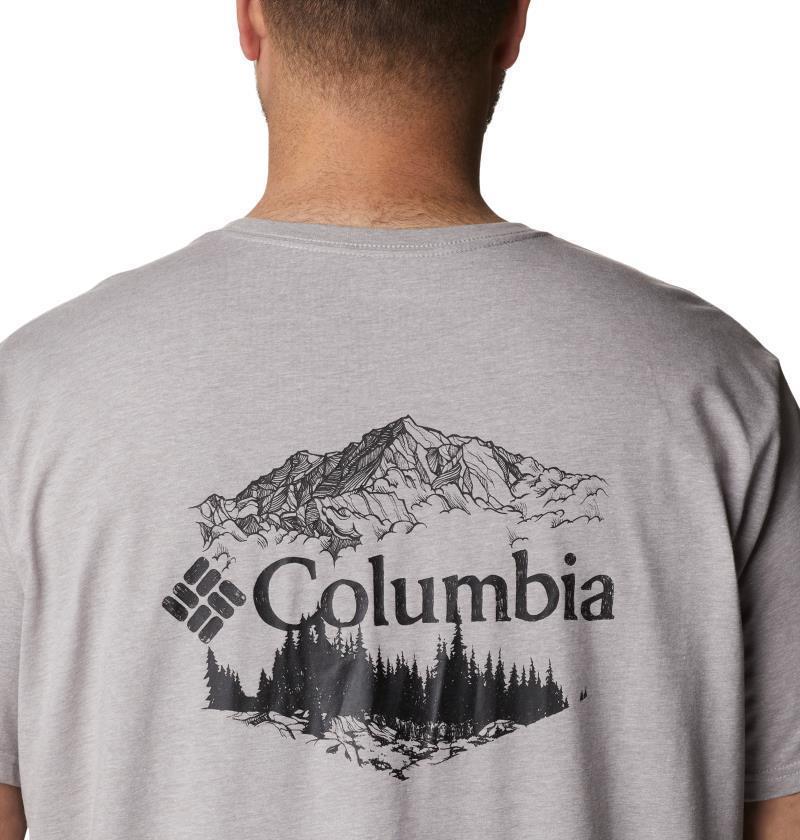 Rockaway River Back Graphic SS Tee - Big - Mens - Image 8