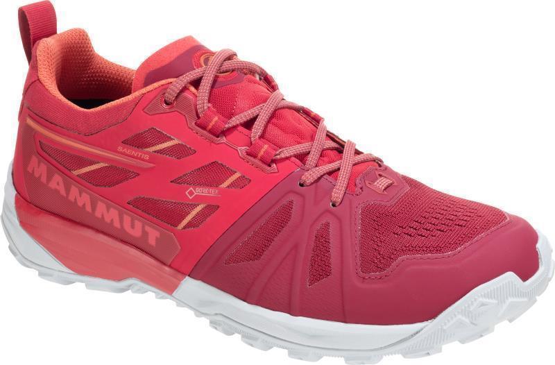 Saentis Low GTX - Womens - Image 8