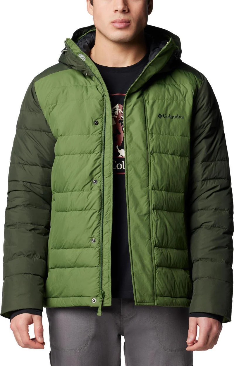 Saltzman II Down Hooded Jacket - Mens - Image 10