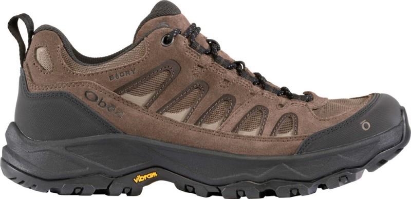 Sawtooth Ascent Low B-Dry - Mens