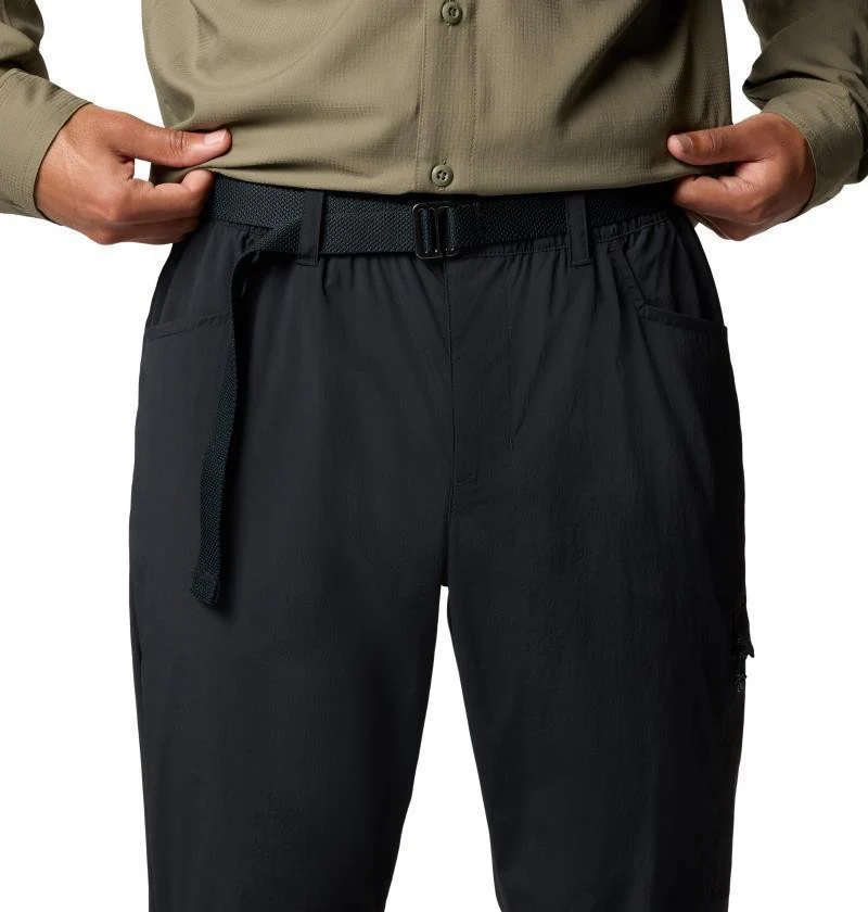 Sharpe Canyon Pants, Reg - Mens - Image 4