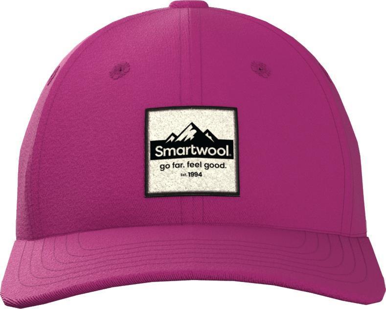 Smartwool Logo Ball Cap - Image 3