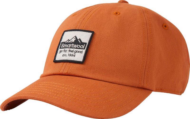 Smartwool Logo Ball Cap - Image 4