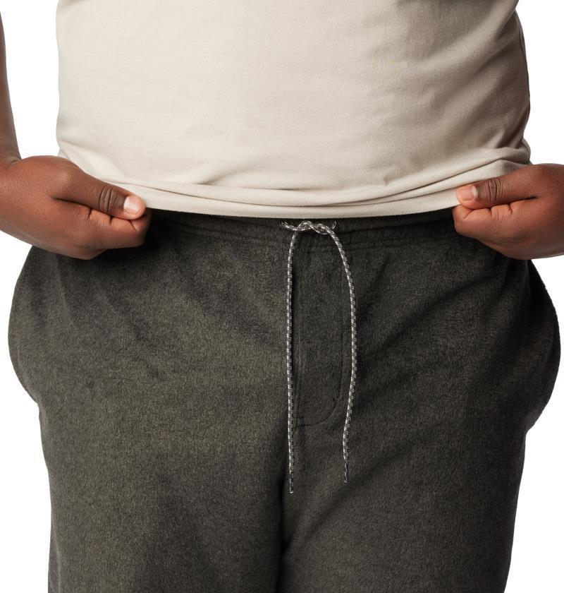 Steens Mountain Pants, Short - Big - Mens - Image 9