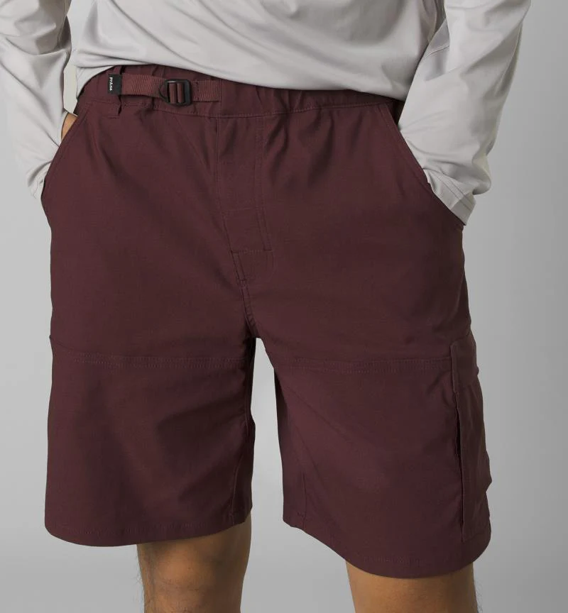 Stretch Zion E-Waist Shorts II, 10" Inseam - Mens - Image 21
