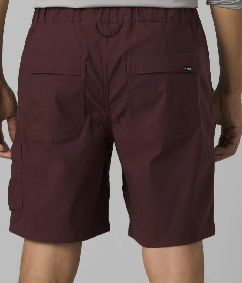 Stretch Zion E-Waist Shorts II, 10" Inseam - Mens - Image 22