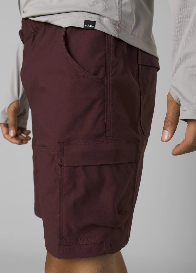 Stretch Zion E-Waist Shorts II, 10" Inseam - Mens - Image 23