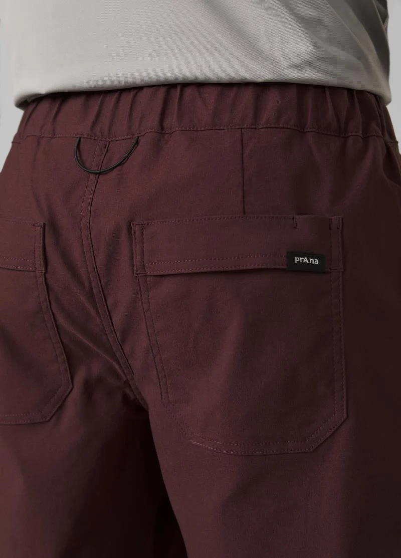 Stretch Zion E-Waist Shorts II, 10" Inseam - Mens - Image 24