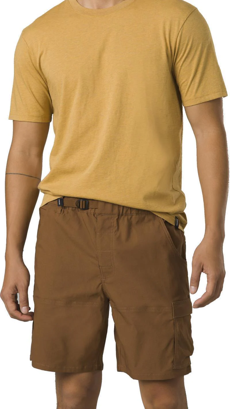 Stretch Zion E-Waist Shorts II, 10" Inseam - Mens - Image 5