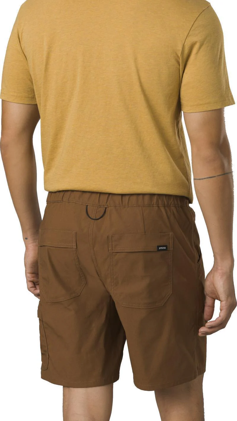 Stretch Zion E-Waist Shorts II, 10" Inseam - Mens - Image 6