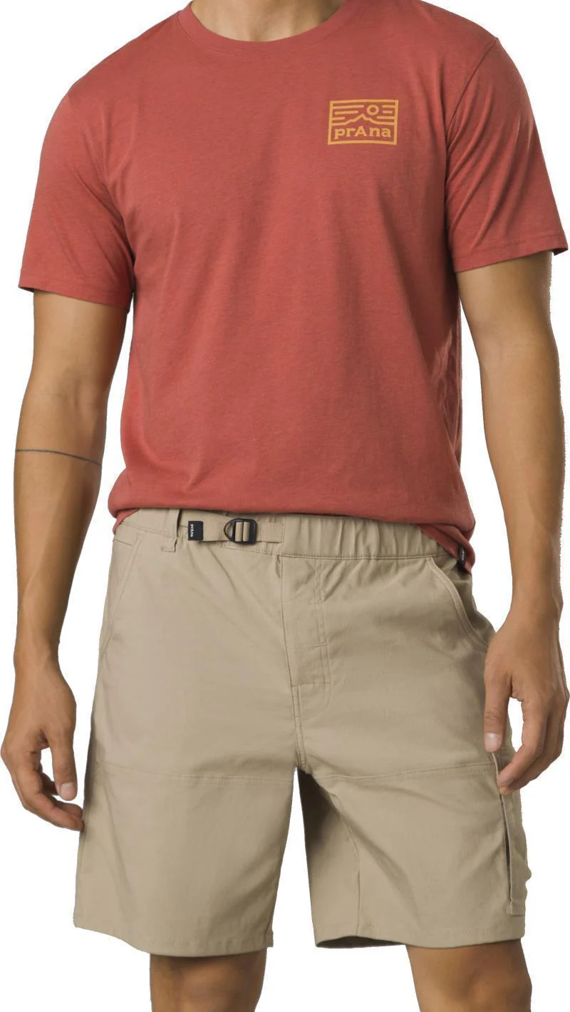 Stretch Zion E-Waist Shorts II, 10" Inseam - Mens - Image 9
