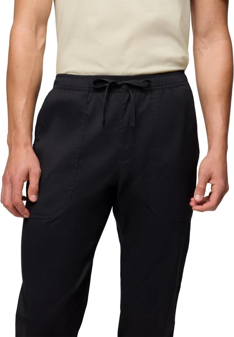 Stretch Zion Field Pants, 34" Inseam - Mens - Image 3