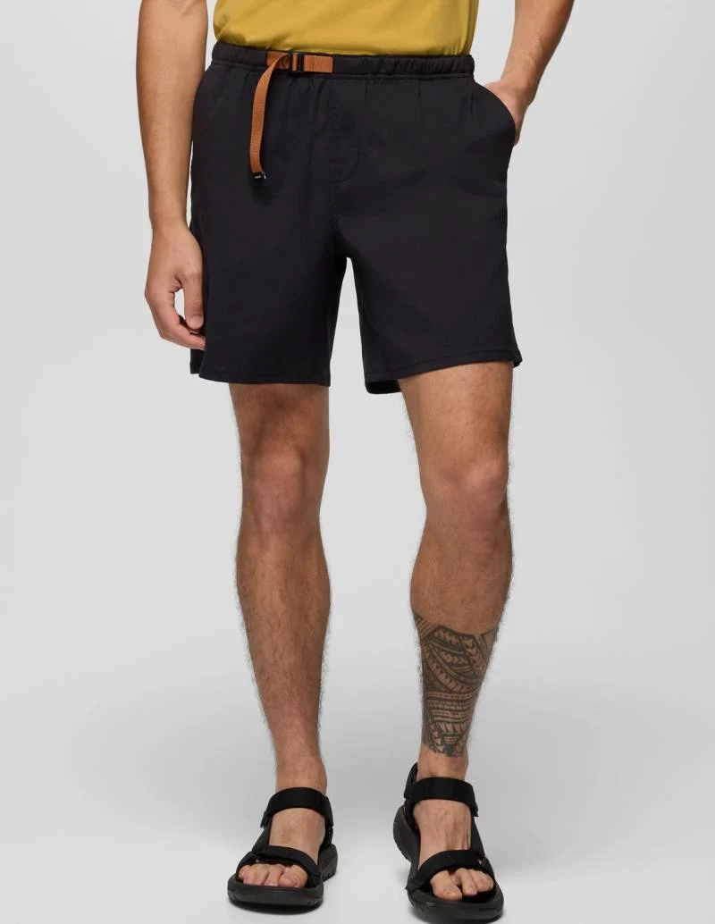 Stretch Zion Pull On Shorts, 5" Inseam - Mens - Image 18