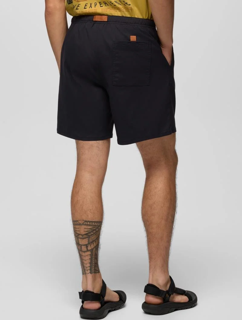 Stretch Zion Pull On Shorts, 5" Inseam - Mens - Image 19