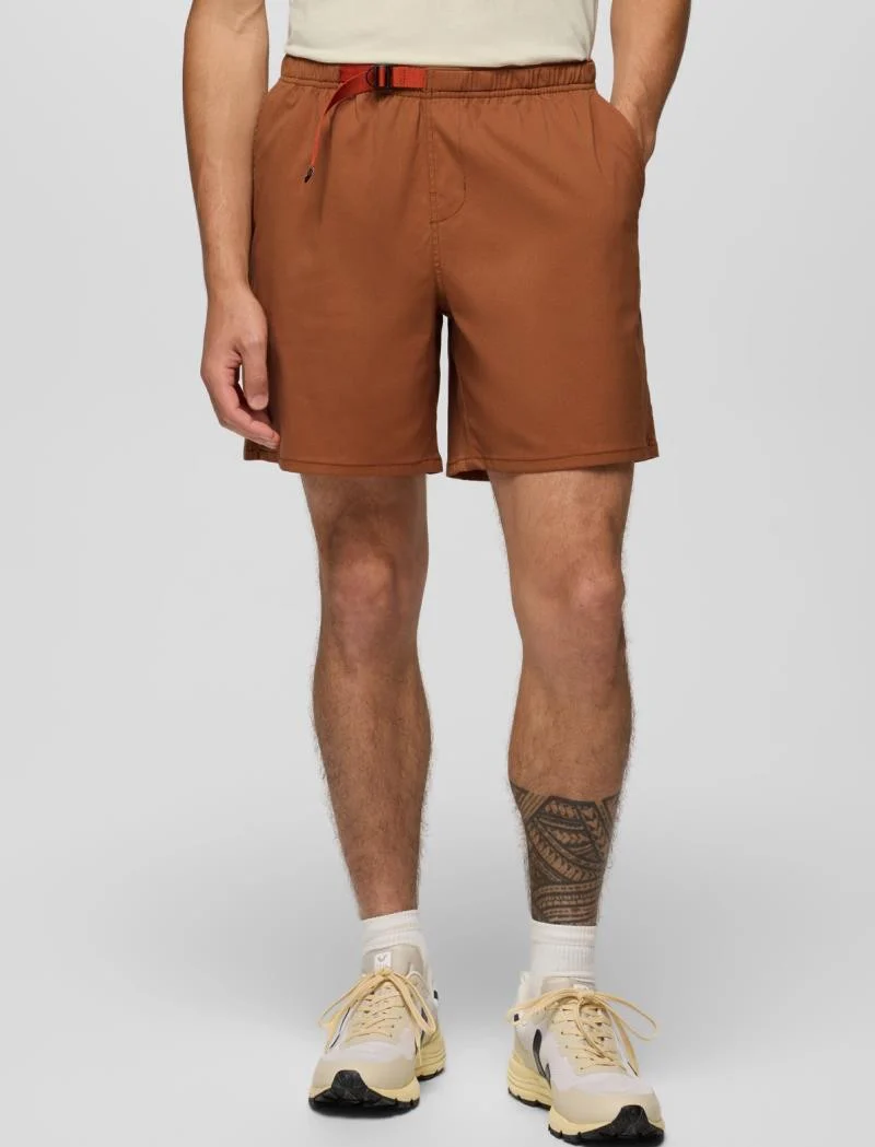 Stretch Zion Pull On Shorts, 5" Inseam - Mens - Image 24