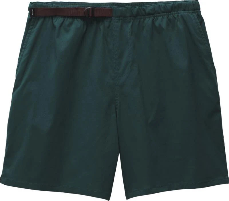 Stretch Zion Pull On Shorts, 5" Inseam - Mens - Image 9