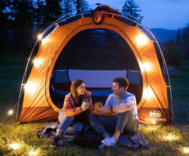 String Light - 100-Lumens - Image 4