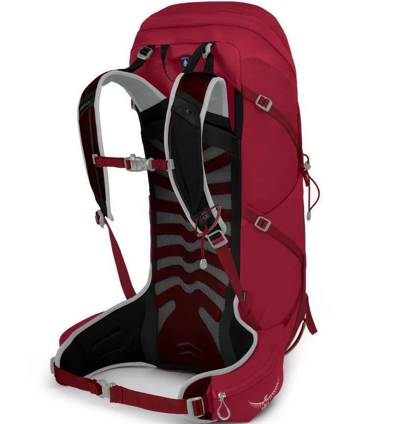 Talon 36 - Mens - Image 2