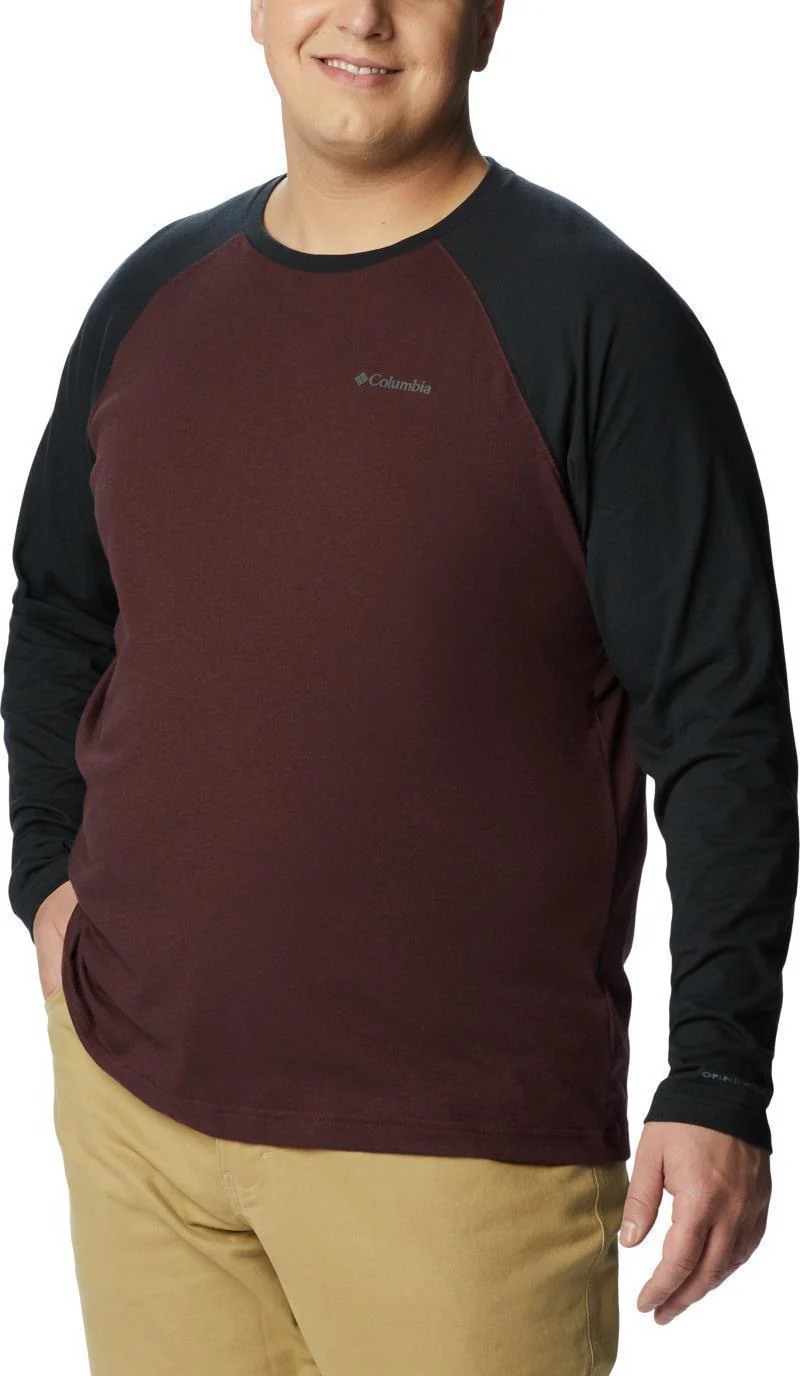 Thistletown Hills Raglan Tee, Extended - Mens - Image 3