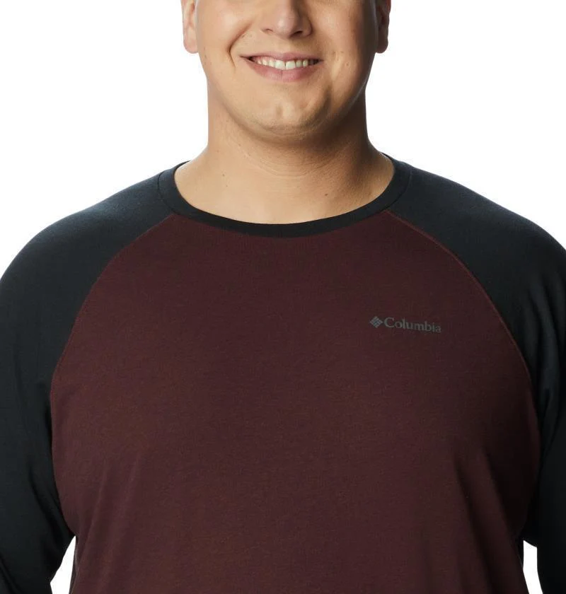 Thistletown Hills Raglan Tee, Extended - Mens - Image 5