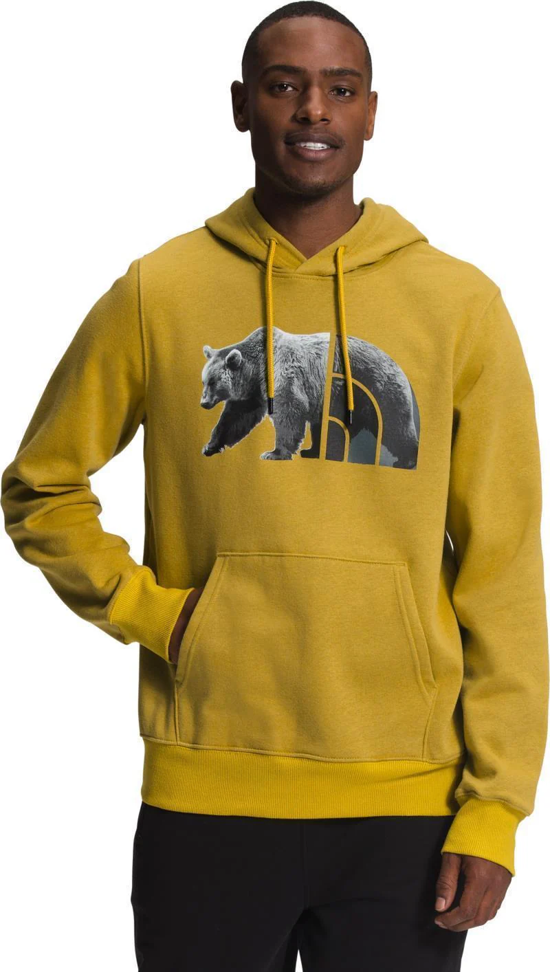 TNF Bear Pullover Hoodie - Mens - Image 19