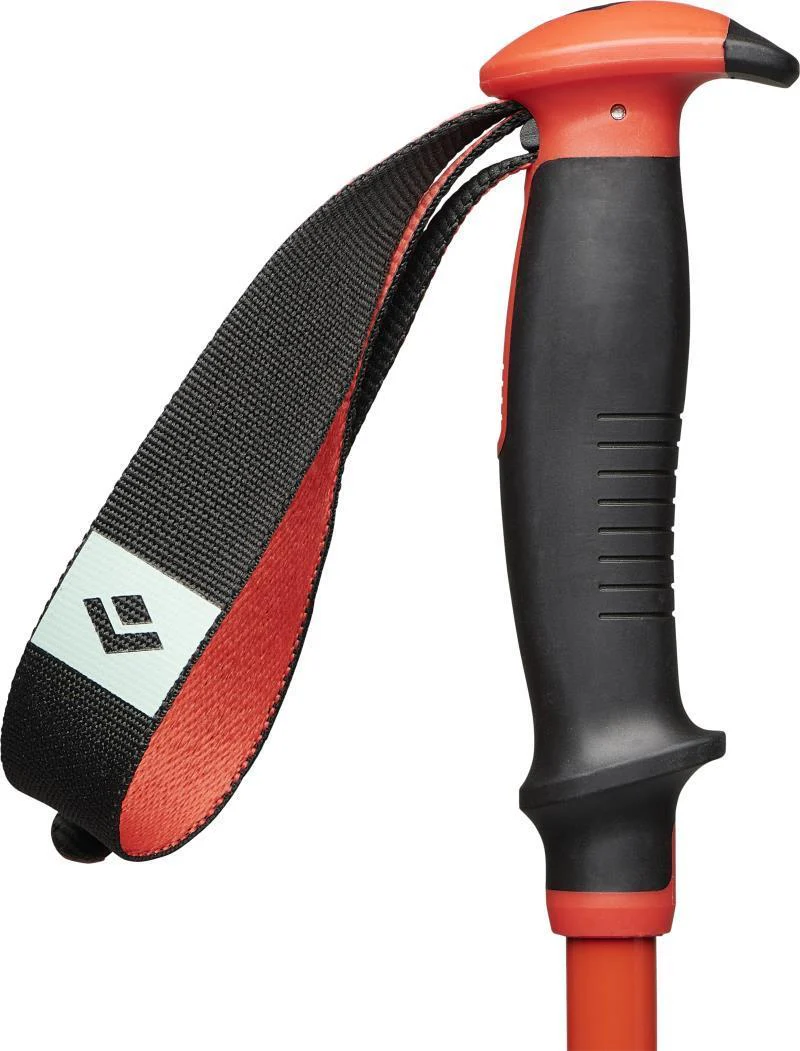 Traverse Ski Poles - Image 3