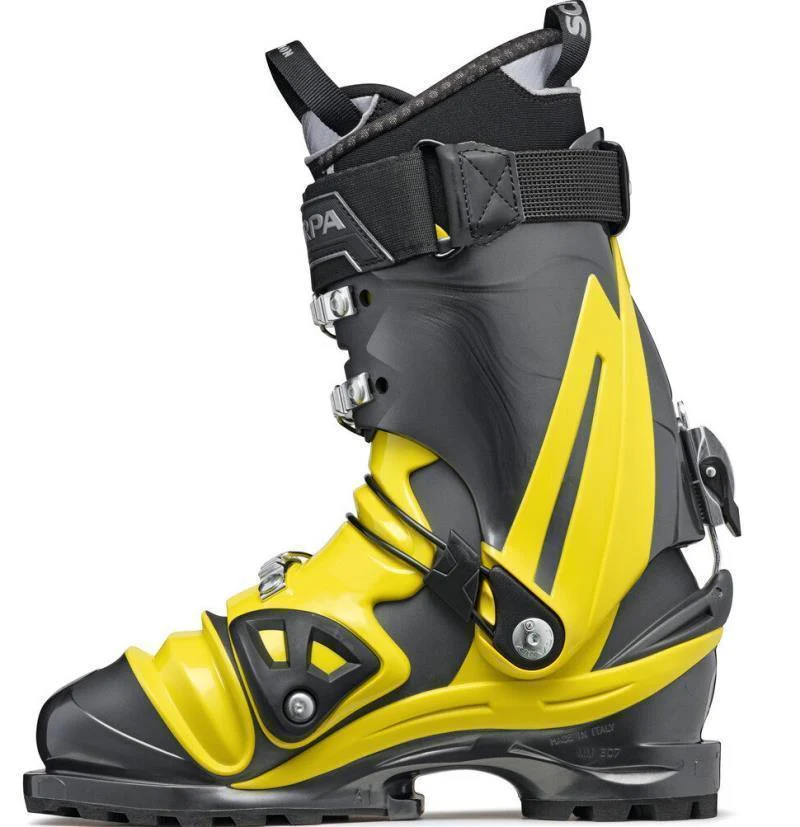 TX Comp - Unisex (Prior Season) - Image 3