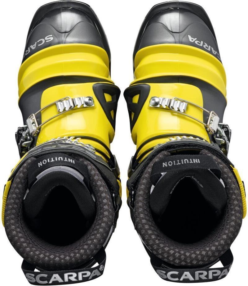 TX Comp - Unisex (Prior Season) - Image 5