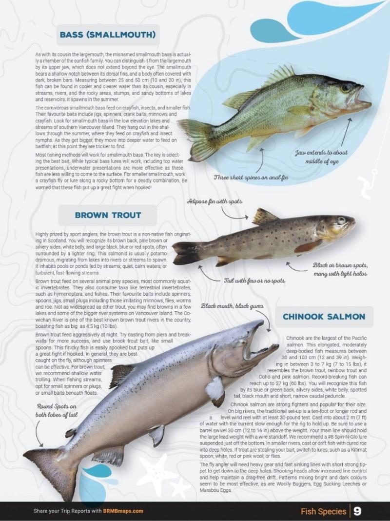 Vancouver Island BC Fishing - 4th Edition - Spiral - Image 9