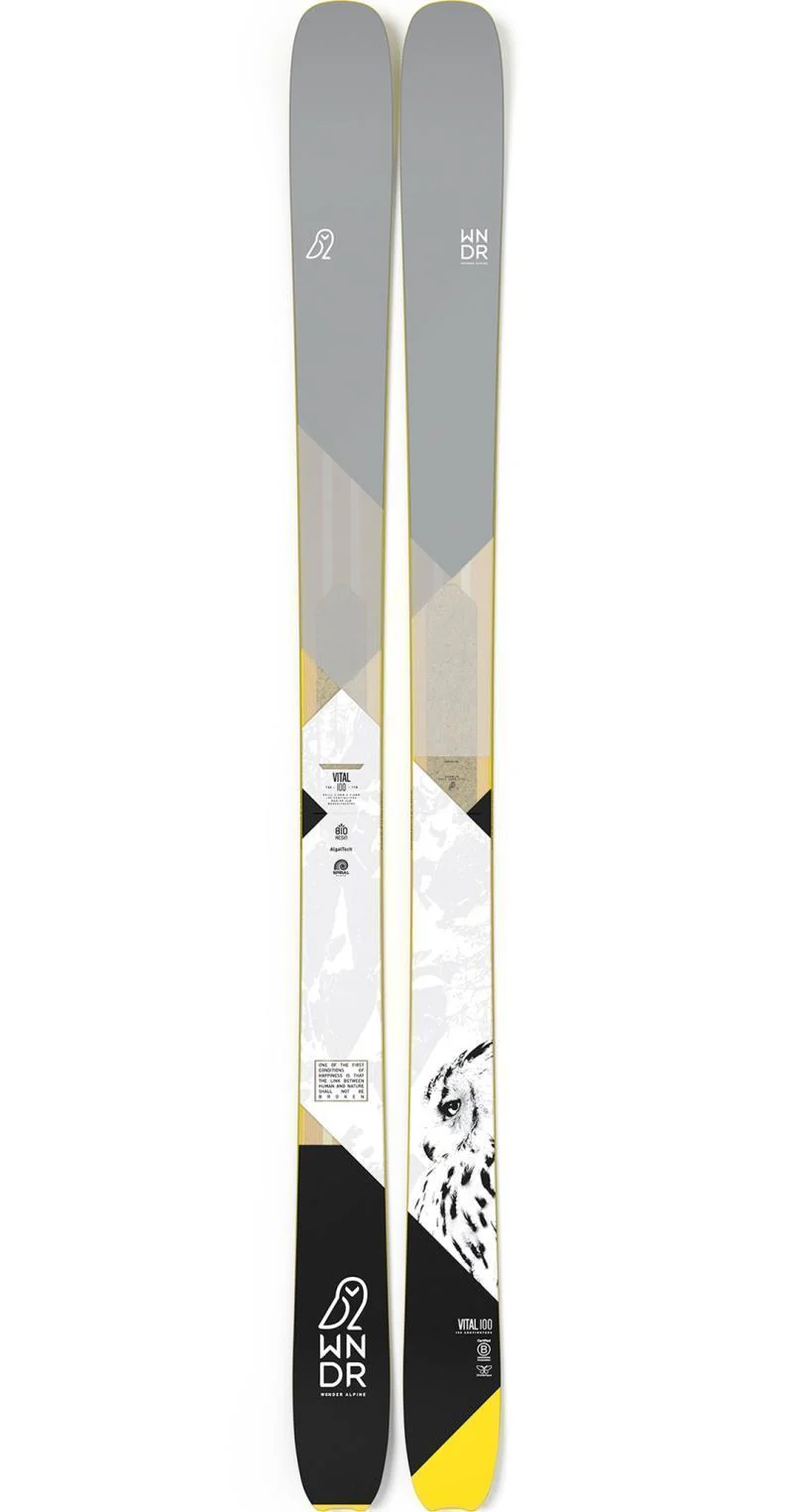 Vital 100 Ski