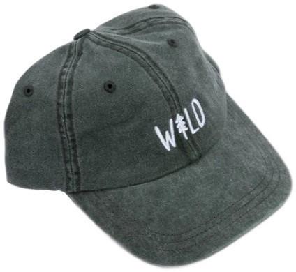 Wild Pine Dad Hat - Image 2